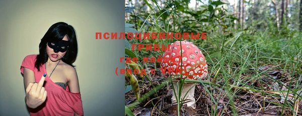 эйфоретик Абинск